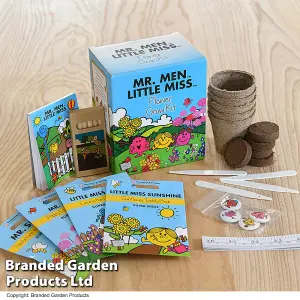 Mr Men Seed Grow Kit - Flower Seed x 1 - Ideal Gift