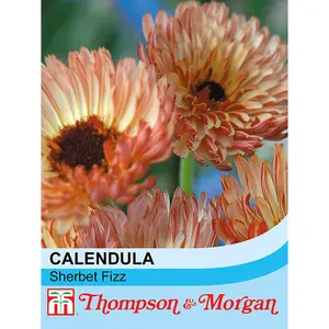 Calendula Officinalis Sherbet Fizz 1 Seed Packet (80 Seeds)