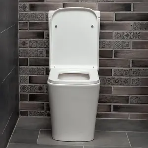 Danby Close Coupled Ceramic Toilet with Soft Close Seat, Quick Release Hinges & Includes Cistern