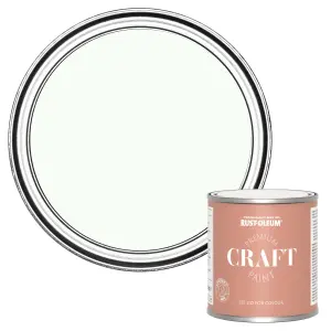 Rust-Oleum Premium Craft Paint - Still 250ml