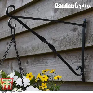 30cm Metal Hanging Basket with Coco Liner and Wall Bracket Garden Set Ideal for trailing plants (2)