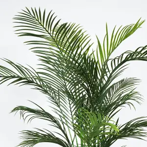 Artificial Palm Tree - 5ft Large Outdoor Areca Palm