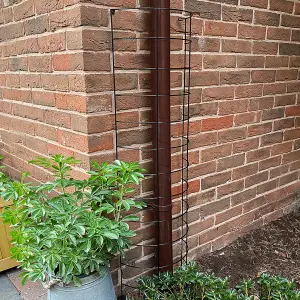 Large Metal Tube Trellis Semi Circular for Drainpipes (Set of 2)