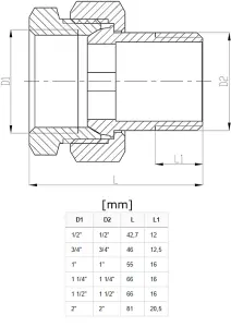 Invena 1 Inch Pipe Coupler Fittings Female x Male Brass Joint Union