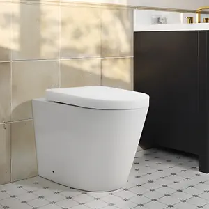 White Back to Wall Toilet Set Wall Mounted Elongated Toilet without Flush