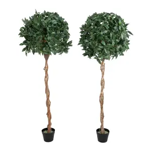 Blooming Artificial - 180cm / 6ft Artificial Bay Laurel Tree (Pair) Topiary