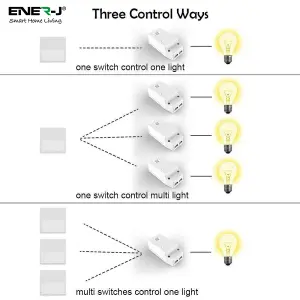 100W RF & WiFi ON/OFF & Dimming Receiver, Also works with Alexa