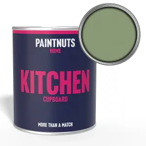 PaintNuts Solid Wood Laminated Kitchen Units Cupboard Cabinet Door Satin Paint - Pale Green - 250ml (RAL6021)