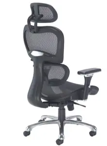 Rainbow Zebra High Back Ergonomic Mesh Office Chair with Arms and Headrest