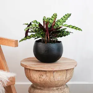 Hammered Bowl Black/Copper 30Cm