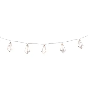 Metal cage Battery-powered Warm white 10 LED Indoor String lights