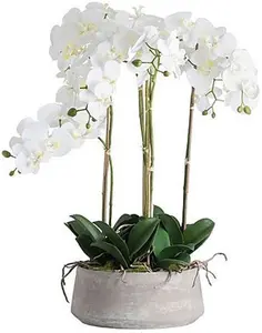 Large White Orchid Stone Pot