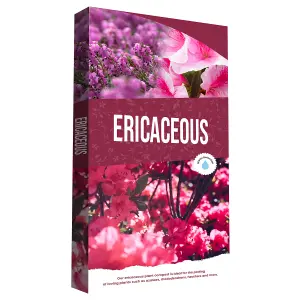 120 Litres (2 Bags) Ericaceous Special Formula Soil For Growing Camellia, Azalea, Rhododendron & Heather Plants