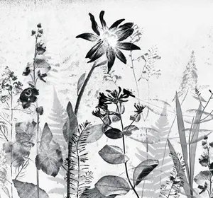 Art For the Home Flower Press Mono Print To Order Fixed Size Mural