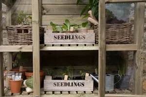 Georgian Wall Greenhouse with Auto Vent