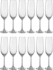 Lucente 200ml Crystal Champagne Flutes 12PC Set