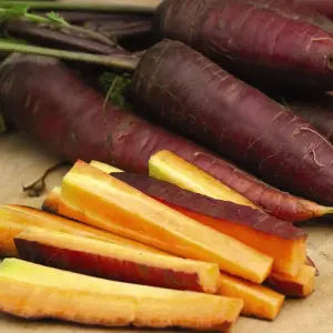 Carrot Cosmic Purple 1 Seed Packet (500 Seeds)