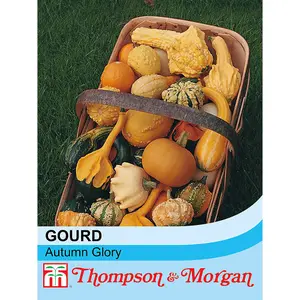 Gourd Autumn Glory 1 Seed Packet (25 Seeds)