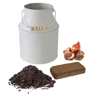 Pronto Seed Tulip Flower Growing Kit with Milkchurn Planter & Tulip Bulbs - Gardening Gifts for Women & Men