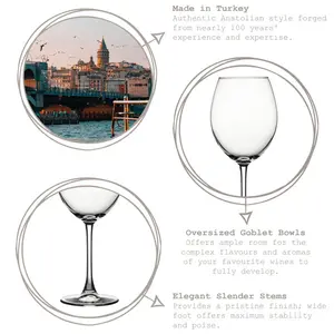 655ml Wine Glass Set (Set of 12)