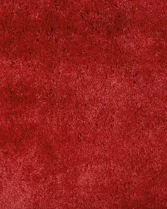 Shaggy Area Rug 160 x 230 cm Red EVREN