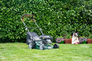 Webb Classic WER410SP 41cm (16") Petrol Self Propelled Rotary Lawnmower