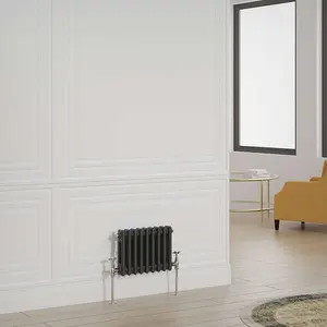 G-Rad Black Double Column Horizontal Radiator - (H) 300 x (W) 415mm