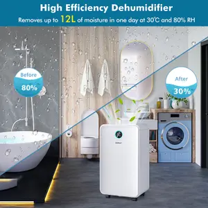 Costway 12L/Day Electric Dehumidifier Home Portable Air De-Humidifier