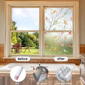 Static Cling Privacy Film - Easy to Apply Colourful Roosting Bird Design Frosted Glass Window Film - Measures W50 x L200cm