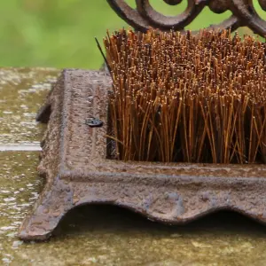 Traditional Cast Iron Ornate Outdoor Garden Boot Brush and Scraper