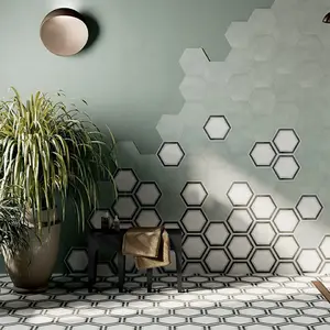 Osaka White  250x 220 framed hexagon matt tile