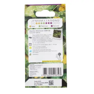 Verve Wisconsin gherkin Vegetable Seeds