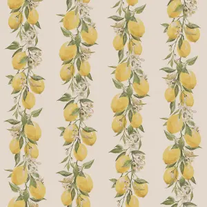 Galerie Just Kitchens Beige Lemon Stripe Wallpaper Roll