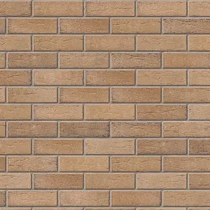 Ibstock Brunswick Tryfan Grey Brick 65mm Mini Pack 250