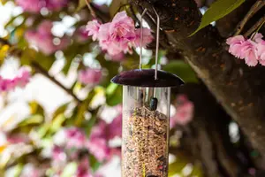 Nature's Market Wild Bird Hammertone Seed Feeder BF040