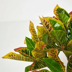 Homescapes Green 'Rushfoil' Artificial Croton Plant with Pot, 65 cm