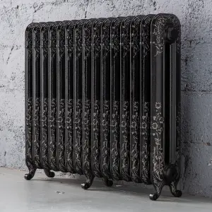 Arroll Daisy Cast iron Silver 15 Column Radiator, (W)1009mm x (H)794mm