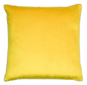 Paoletti Meridian Velvet Piped Polyester Filled Cushion