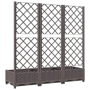 Berkfield Garden Planter with Trellis Brown 120x40x121.5 cm PP