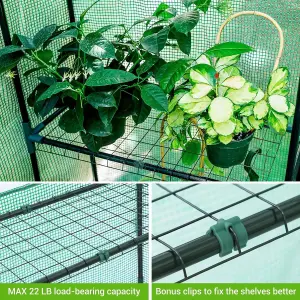 Large Walk-In Greenhouse with 2 Windows & 8 Shelves - Cold Frame Greenhouse with Reinforced PE Cover