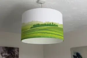 countryside landscape illustration (Ceiling & Lamp Shade) / 45cm x 26cm / Ceiling Shade