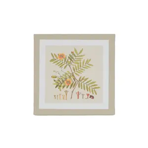 Arthouse Botanical Neutral Tones Mixed size Canvas art, Set of 6