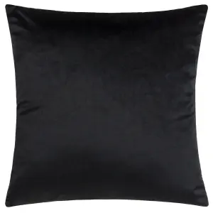 Paoletti Ledbury Velvet Jacquard Feather Filled Cushion