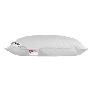 Homescapes Duck Feather and Down Music Pillow With Speakers