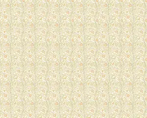 Hoopla Walls Rosehip Trail Soft Amber Smooth Matt Wallpaper