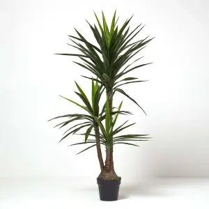 Homescapes Yucca Tree in Pot, 150 cm Tall