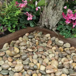 Highland Pebbles 20-30mm 20kg Bag Pallet of 49