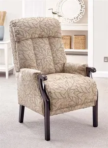 Careco, Aster Fireside Chair – Comfortable Design, Soft Upholstery, Ideal For Home Or Care Environments