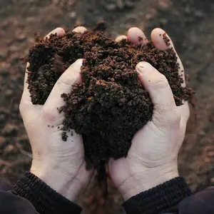 20L Seed & Cutting Compost Potting Soil by Laeto Your Signature Garden - FREE DELIVERY INCLUDED