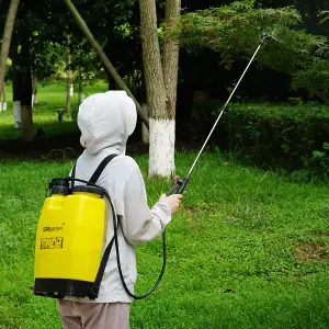 12L Backpack Manual Pressure Sprayer With Lance Garden Weed Killer Knapsack